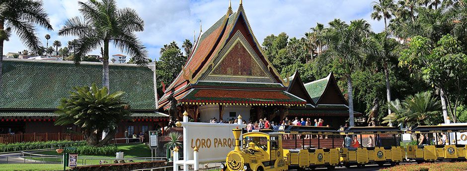 Loro Parque Tenerife - entradas y hoteles