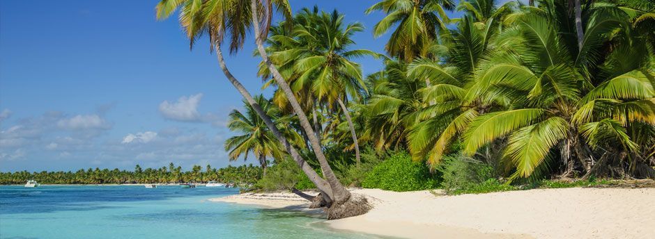 Voyage aux Caraibes