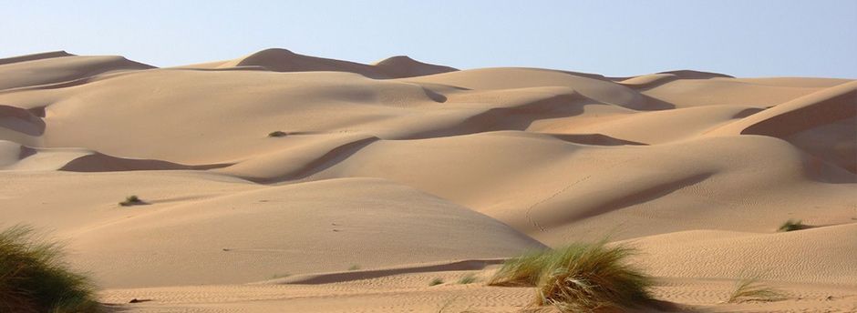 Voyage en Mauritanie