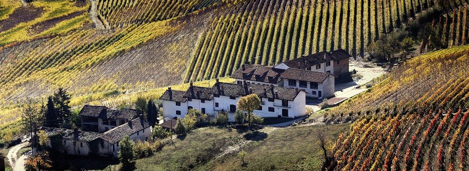 Offerte last minute per le Langhe