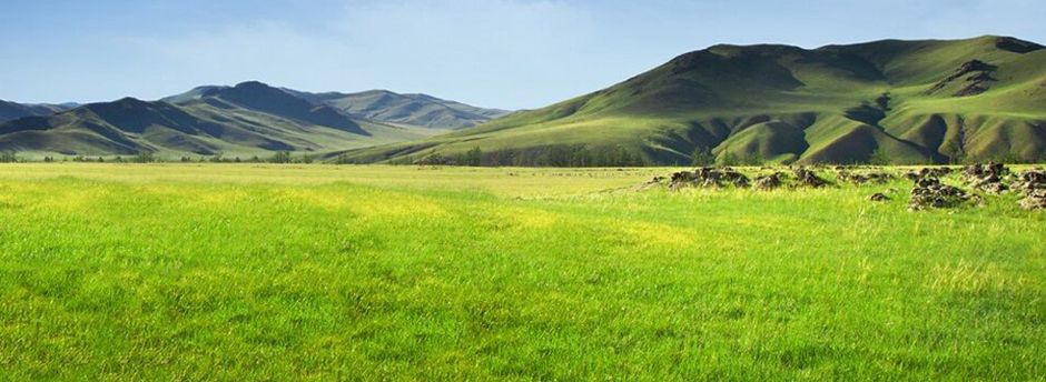 Offerte last minute per la Mongolia