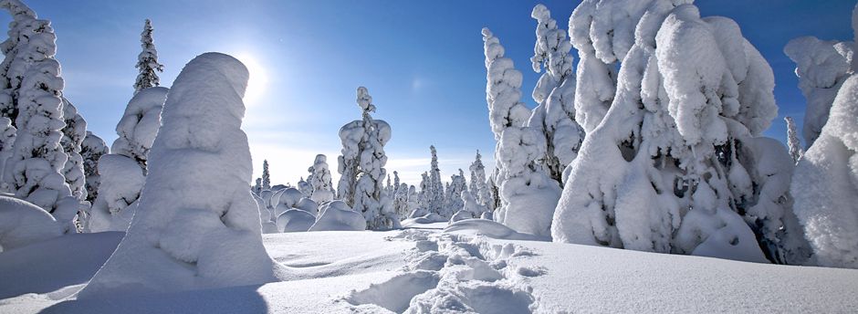 Offerte last minute per Tromso